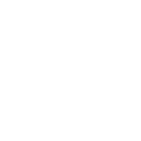 list item image